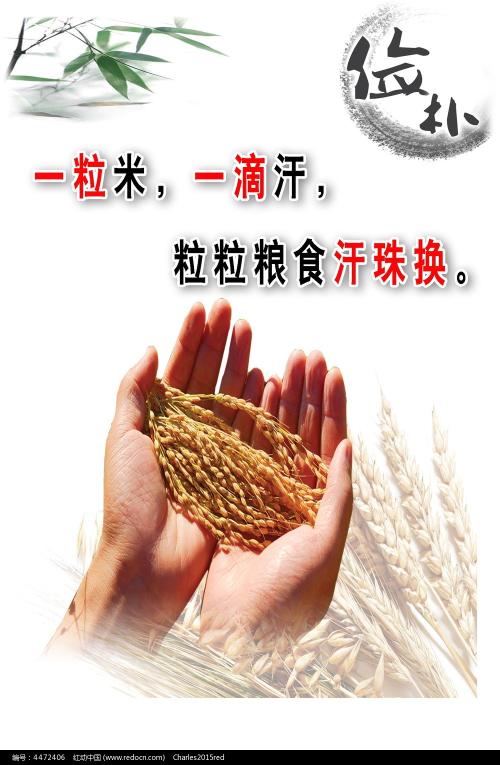 高仿比利时驾照多少钱